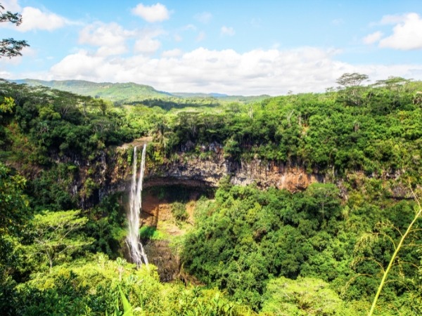 Black River Gorges National Park